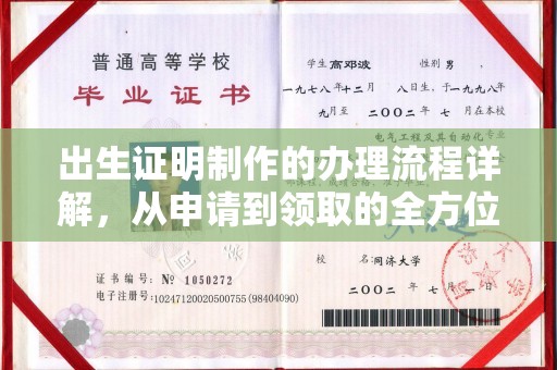 灌南出生证明制作的办理流程详解，从申请到领取的全方位指南