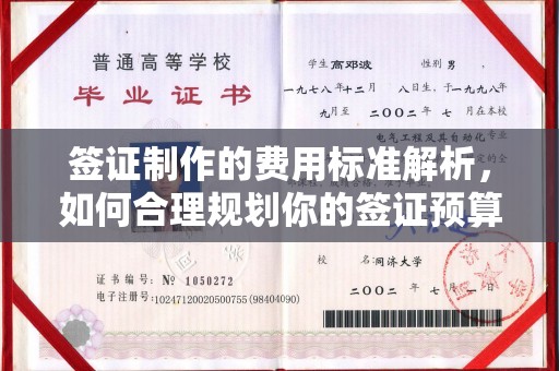 灌南签证制作的费用标准解析，如何合理规划你的签证预算