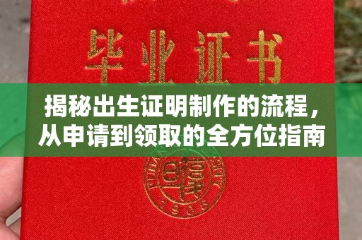 灌南揭秘出生证明制作的流程，从申请到领取的全方位指南