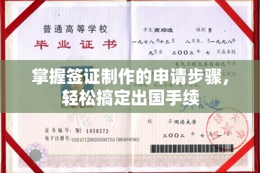 灌南掌握签证制作的申请步骤，轻松搞定出国手续
