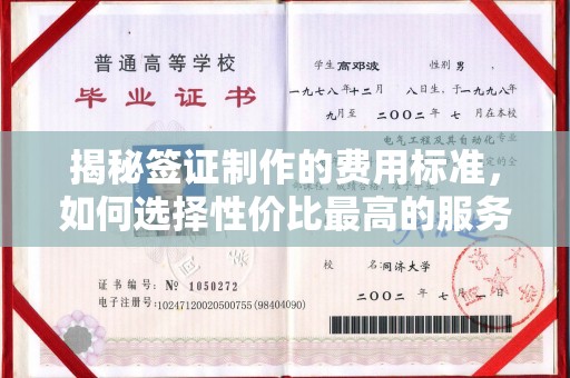 灌南揭秘签证制作的费用标准，如何选择性价比最高的服务？