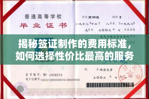 灌南揭秘签证制作的费用标准，如何选择性价比最高的服务？